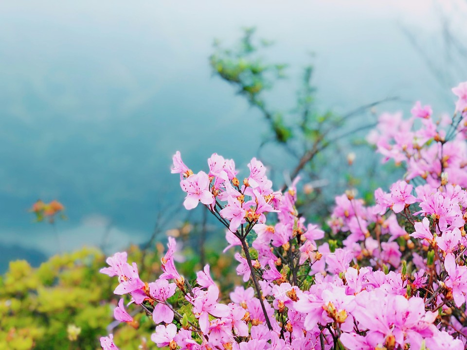 mmexport1521536893274