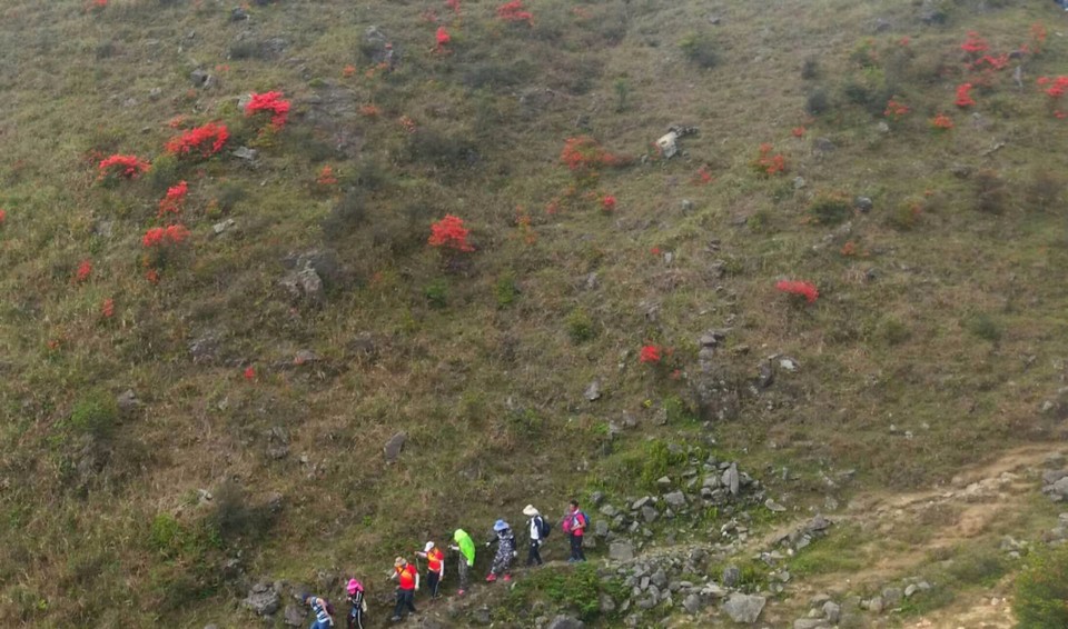 mmexport1522811474329