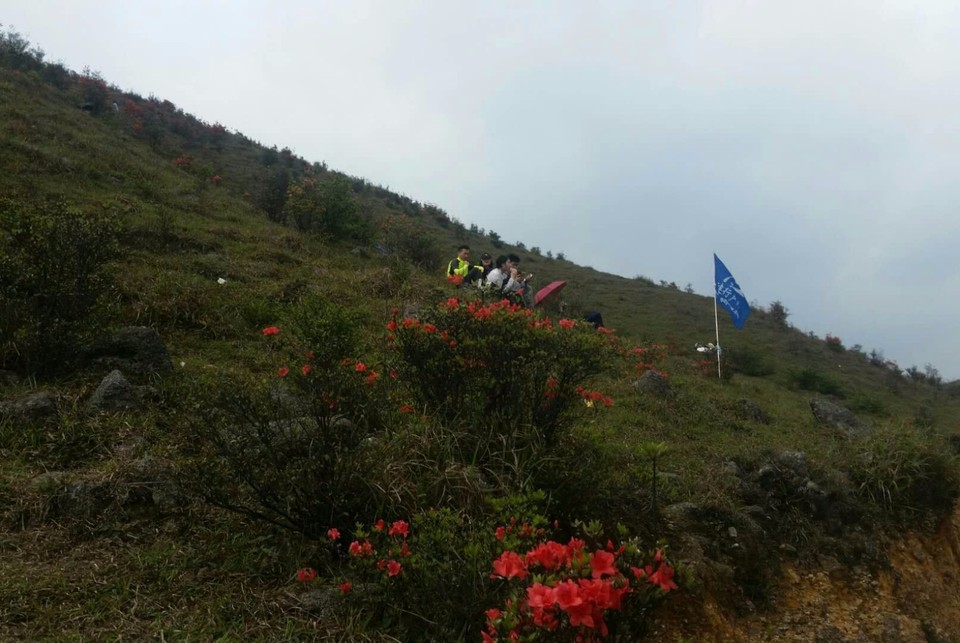 mmexport1522811472868