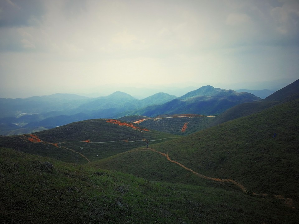 mmexport1522811398196