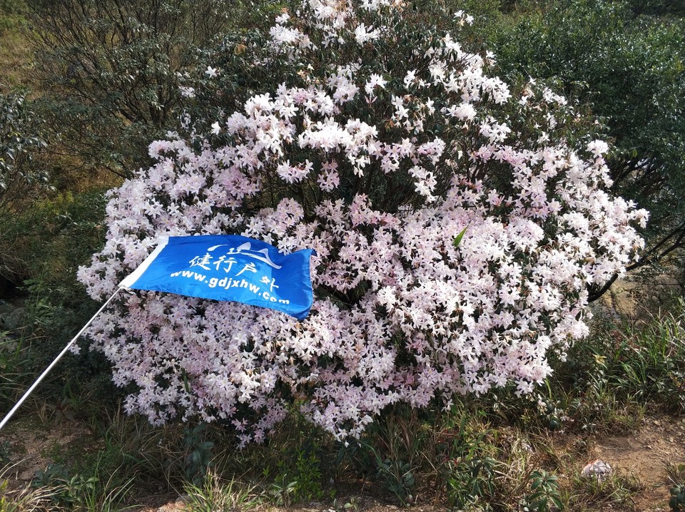 mmexport1522811392063