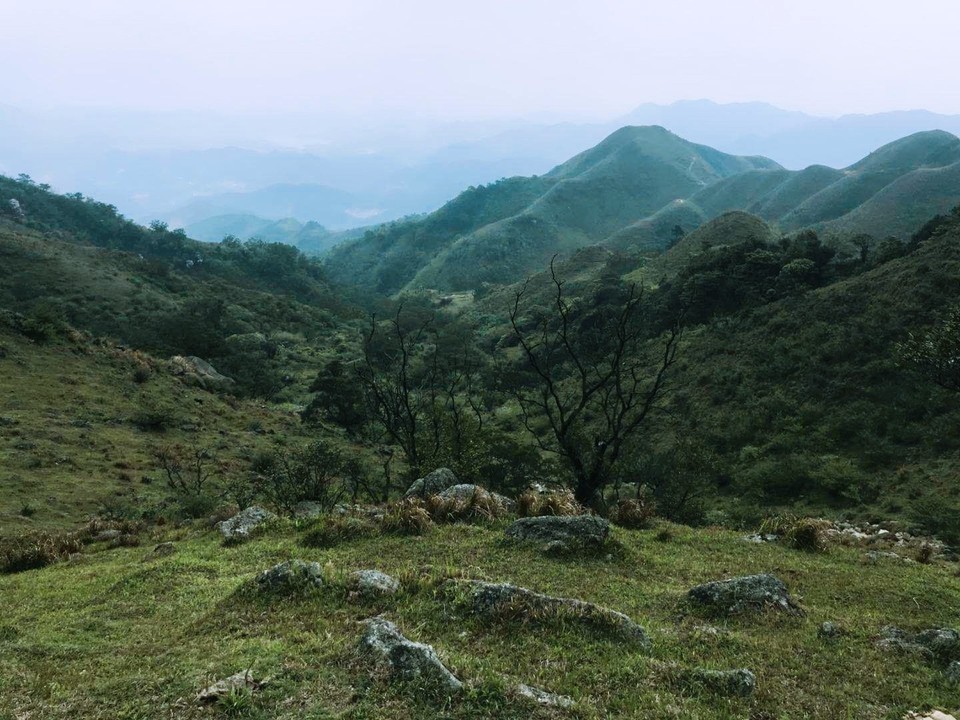 mmexport1522811420213