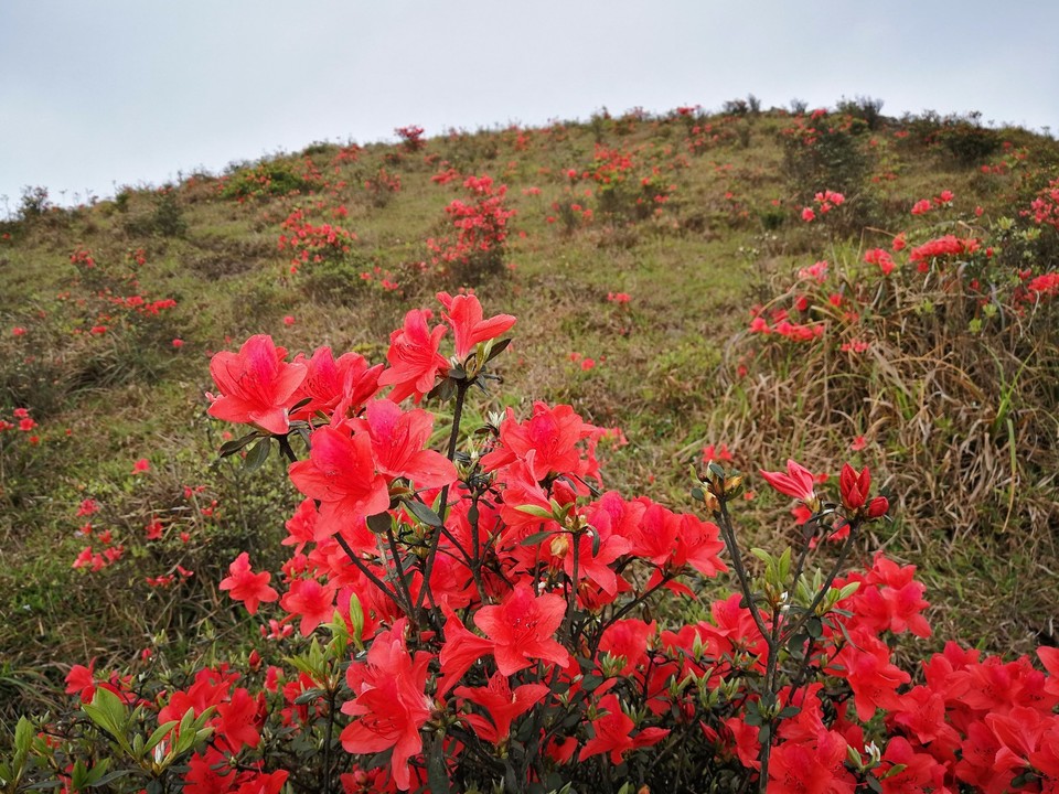 mmexport1522811339018