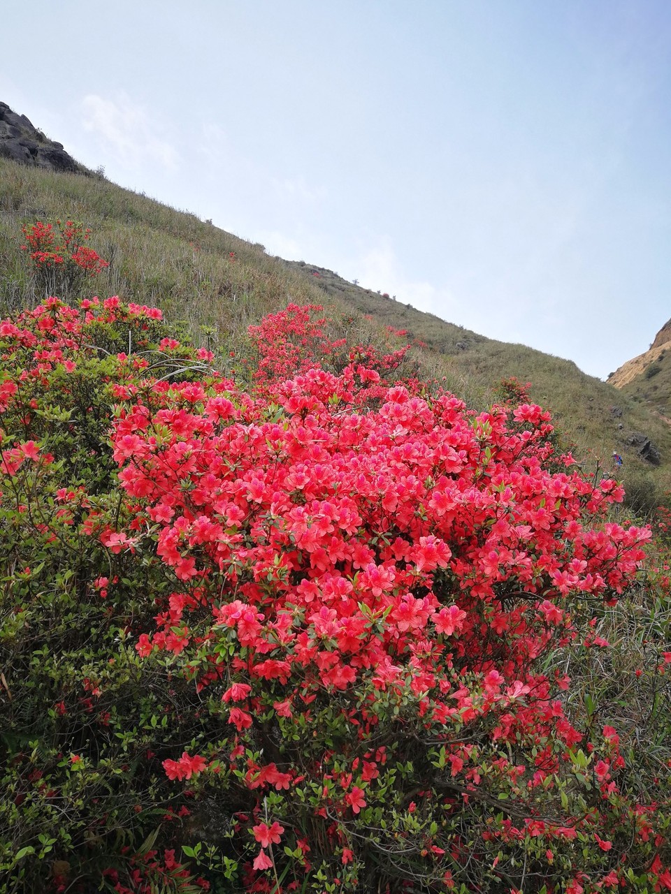 mmexport1522811336103