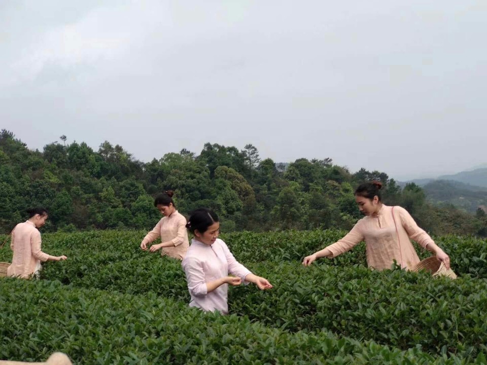 mmexport1522811308482