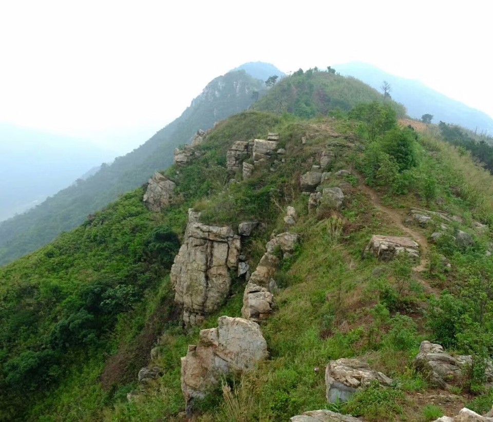 mmexport1525833800479