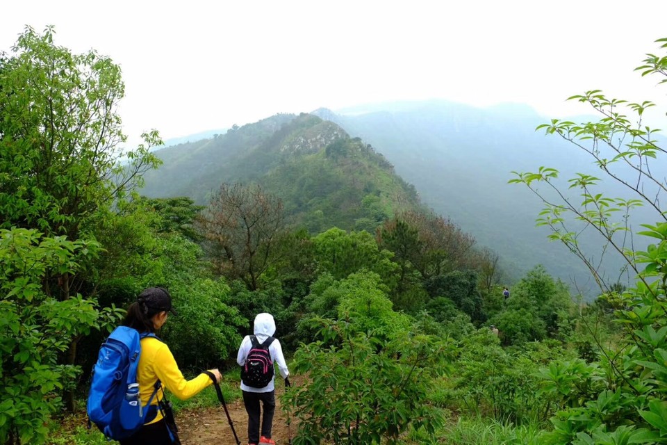 mmexport1525833775539