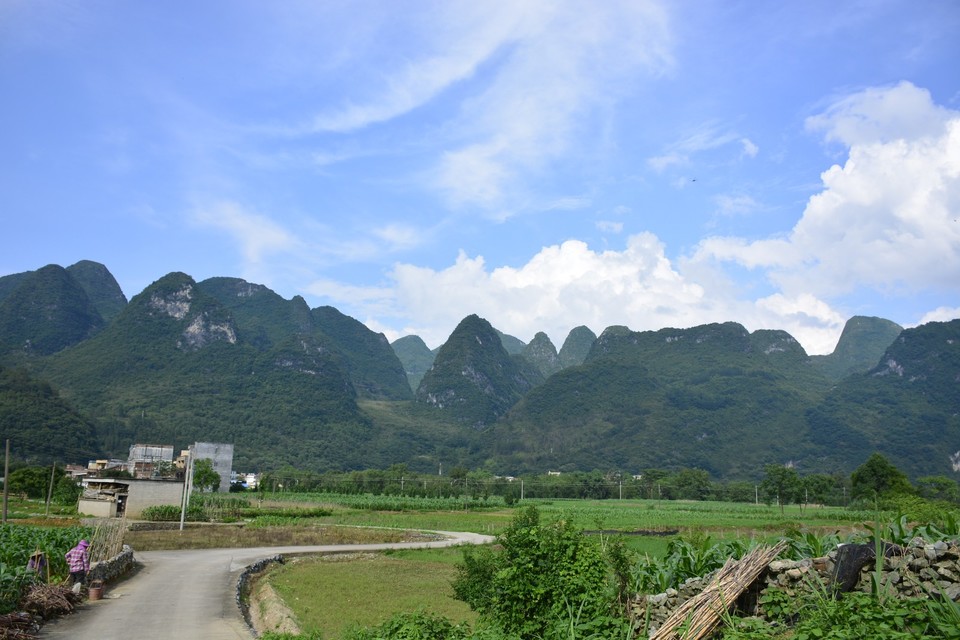 mmexport1526279853357