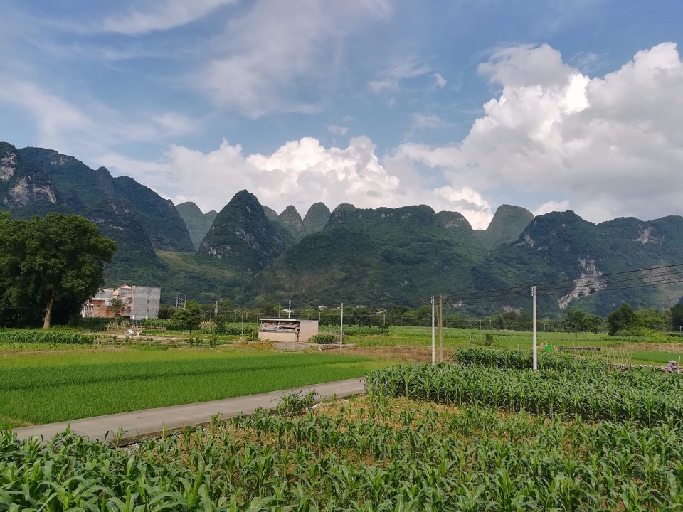 mmexport1526279821537