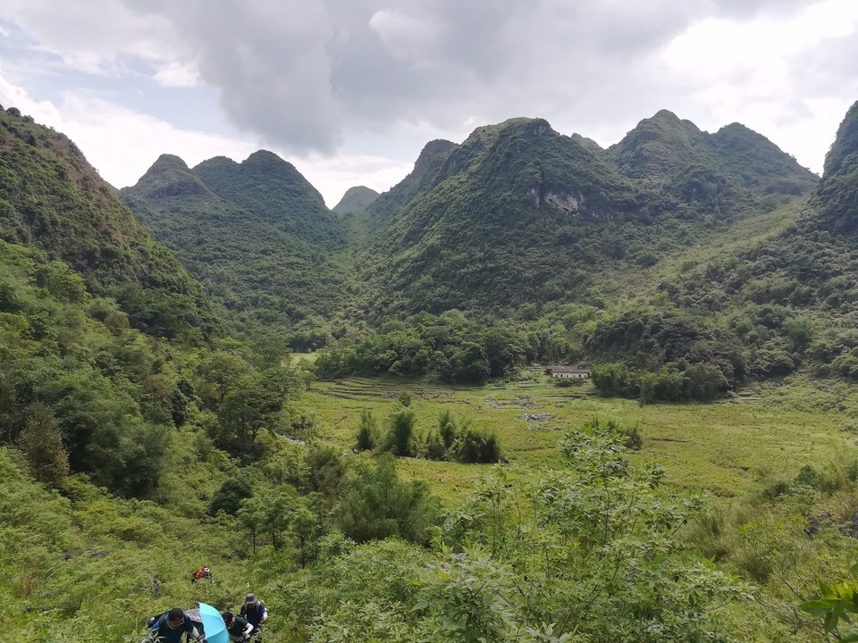 mmexport1526279805306