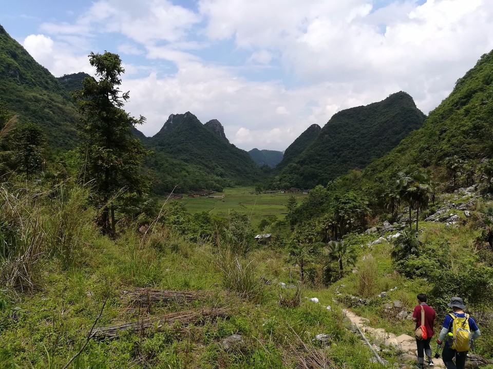 mmexport1526279763597