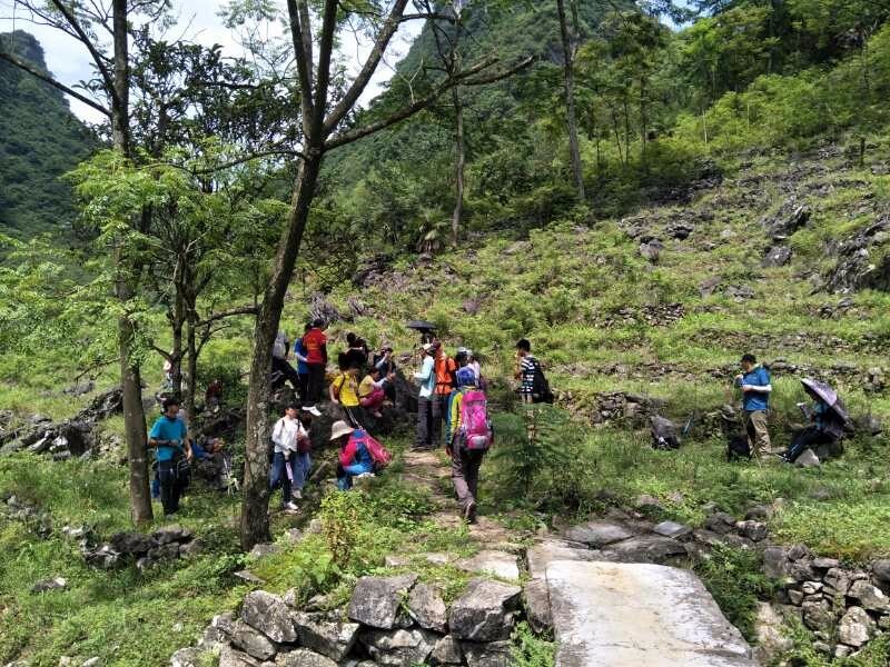 mmexport1526279713112