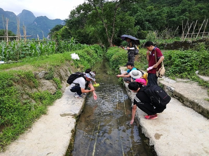 mmexport1526279700644