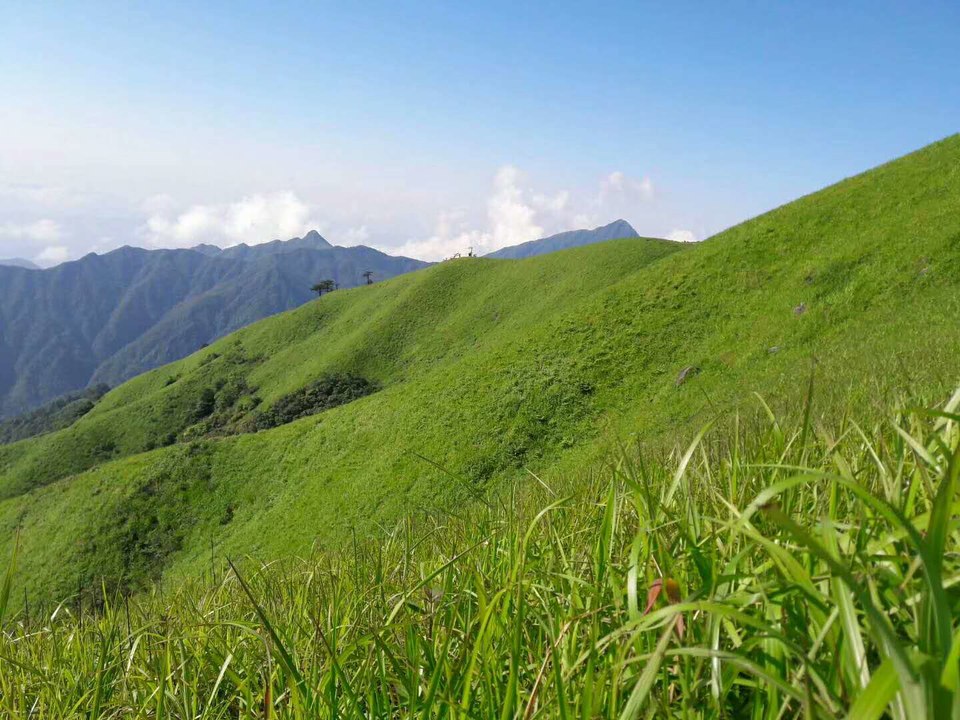 sMIsX32514MzY9e2ttqGPhaED2jmldJZSoAlS28llRFlLNsS1LL2qk2vkHCuLCgu