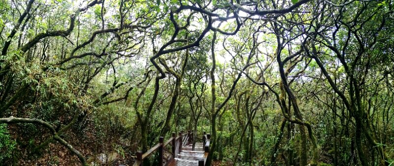 CNumXNWZlAoLDrAYMIv-LFj8_tDzR9j7UYGWnbEoCO1lcA7sZ8k308k9SD_RWi0f