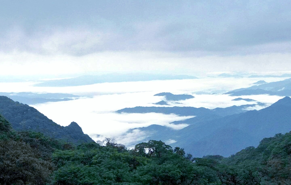 bMexZriA_svHquFdxQWzvZDZNyPlZQyd5FBKajpDGpt2ICUSNKA1_V1nLHljisj6