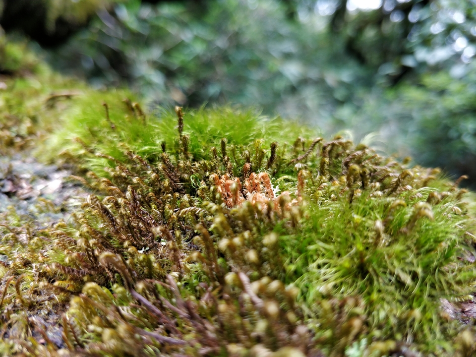 rWs5nZ6IbaAAGfNgN4K2JfklwLYYk3K6YWFQNX90BG5hjaVfaRB4ZOjQe7wy-6hc