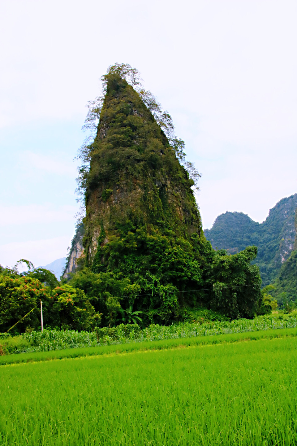 6iVBH7KkzOdnE6pEEJPozXF1csJJenKbrivi55fb0MX9K4uJhJfzDwWuIRQo7Z75