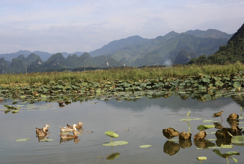 Jeark3ccbCHNHxYOsu3MBp7mpkT4TuNS3sl704BkPttiXw6n6laT0nCzwIxbVcF1