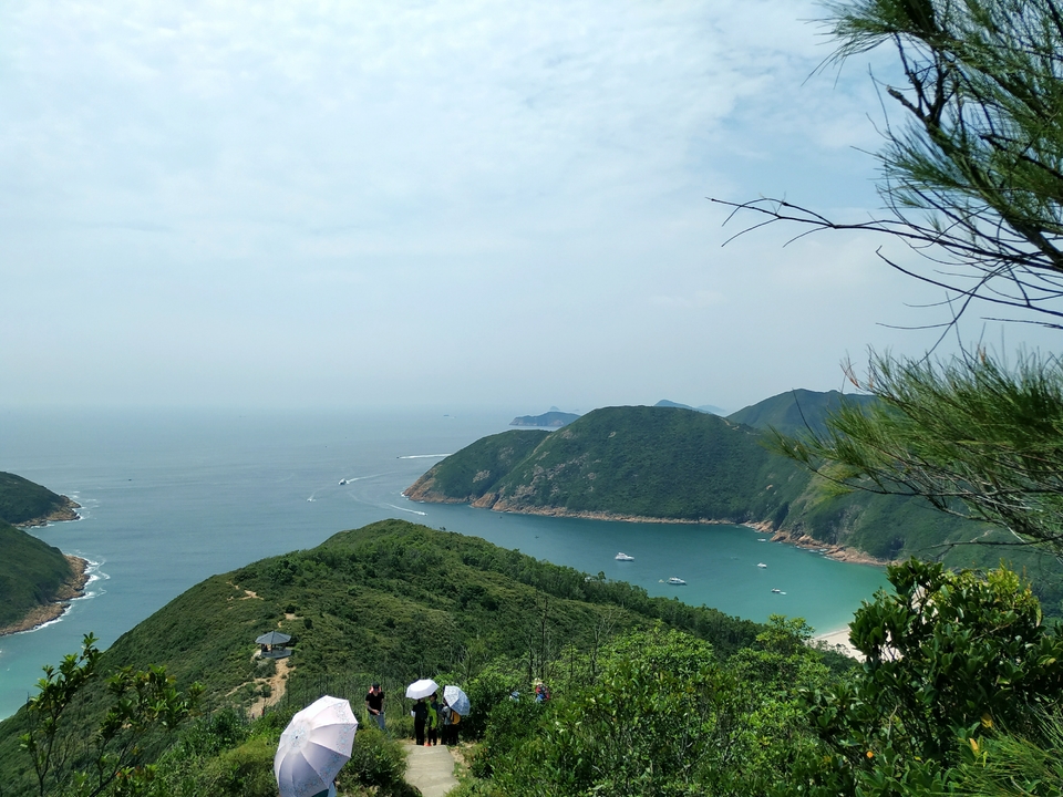 xAkl62M22dV3sWjb02Xb29NLM1Qm9VvxjLPTVFZSwbw9gRc8zx8oFMYUGSS45lDS