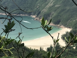 x2pp5uwdZvz5nF8FGs_NdRXf_sS8kQWad0bSJWfv4rvwIWklOgv5C5lw2CA9ViKV