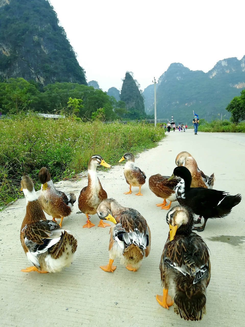 sKJnYBKjqeJYC_exF5PXaiNVzLux0EZ-qXdEh8W2SGrcBvNWhGmUaU_VYXZvnhhn