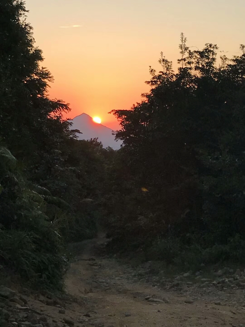 rIQ0-0q8lSAR152Q1HF-e0EoBgfkG7eTh4sVKn1FlijfShyUiySS0lLyb97bo23i