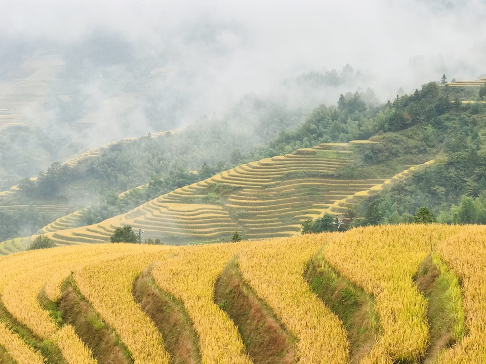 bMV1y1lw7hCdGzw2rDlIJM2tfpUYJe5d5Z7IfUQymA5wPPuuvy5M5tshK8CLBoAi