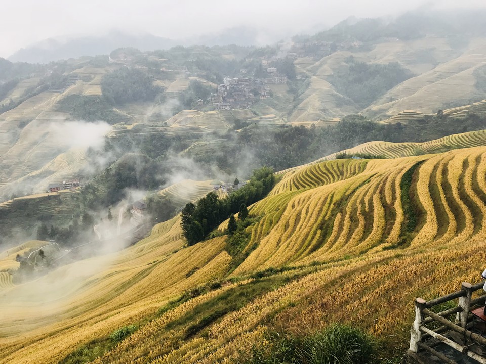 WgwLD0N7L1iZ6DLmFrG4ORZ151ZueWulfCiJuOvyIoYeFOxoyIPAez3ywhvq4vwW