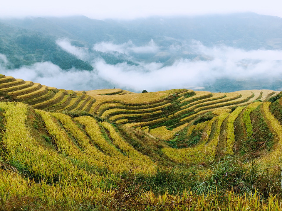 hArWkW-PZNFYWwavIgBAoeO33tg-7yCCo1DZ2Z6AMtH_w8KGUjYSgb11-jJD79Lq