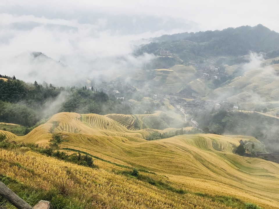 eYQRTLe7CbNZhzfebYMpUYp4w3tkh0qGYvc7GxFGRIZn9_BRcBb1OqzycGdpbDQu