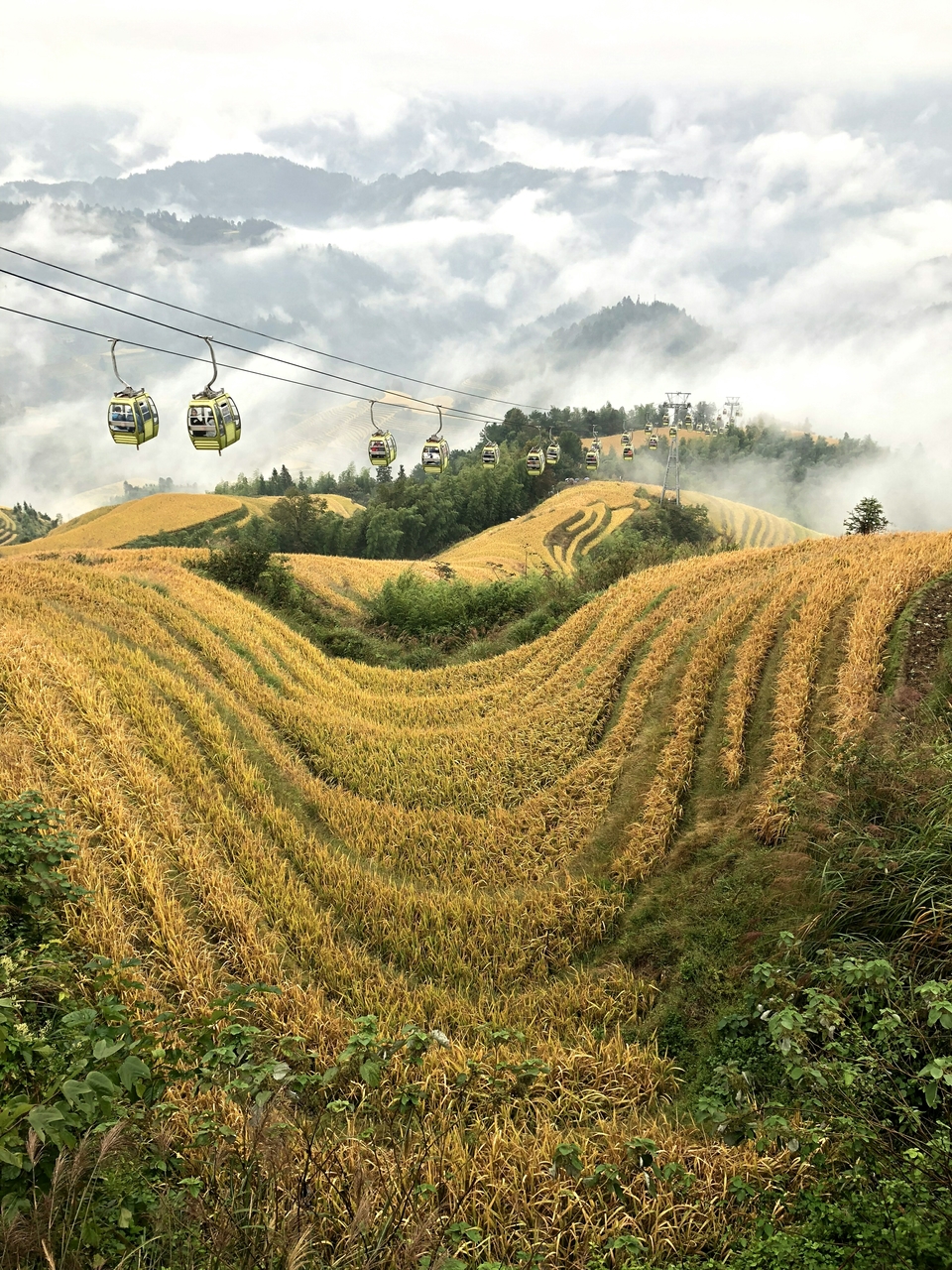 JkJiGhGKNR1rtzK8UFpgO_xD9IskAu6AcXOvGZYKJ8XxVBkoP1dTY8DVcL-X6SJi