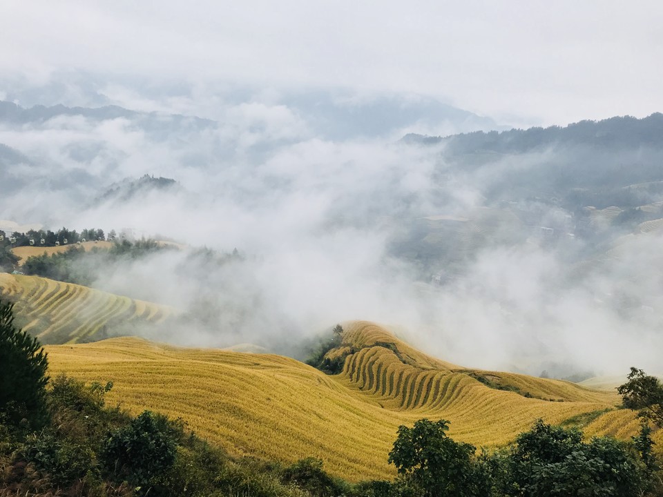 -tUhWIkMjjtOQw2BcvqlzK1sZuKC6d_yiah9usp-_iTcFMjGg9RZqZGYZDAHIzDT