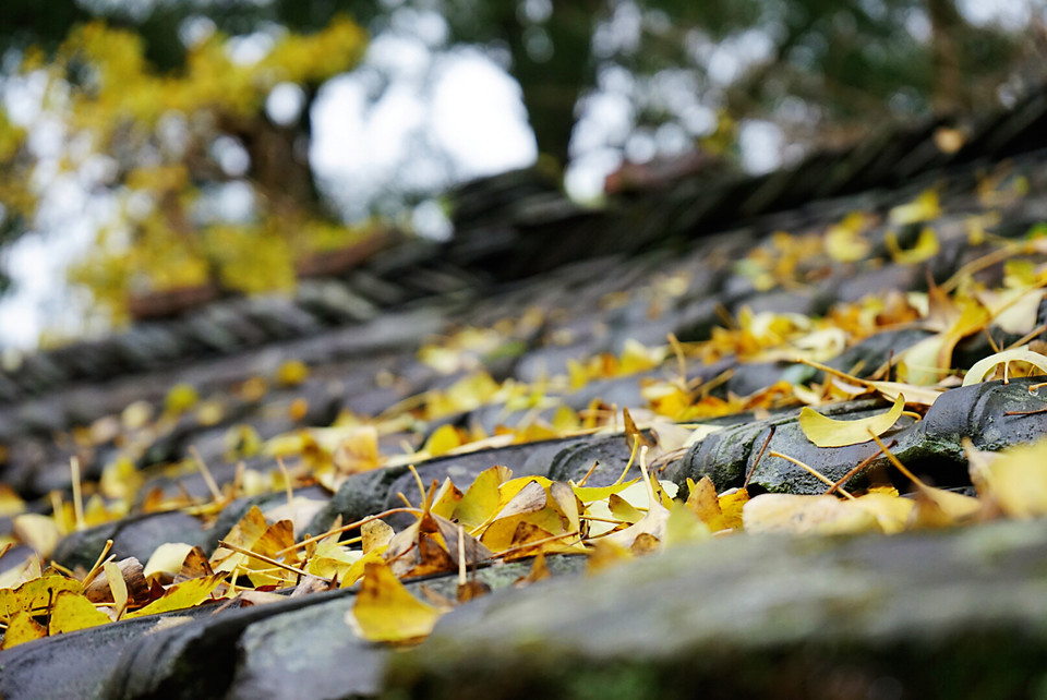 NJTTD3DRl54gEJcXdXJxHoDg2RAj49db4jly9Bam_5b7YrwfIb0YrWrpfILjrBu_