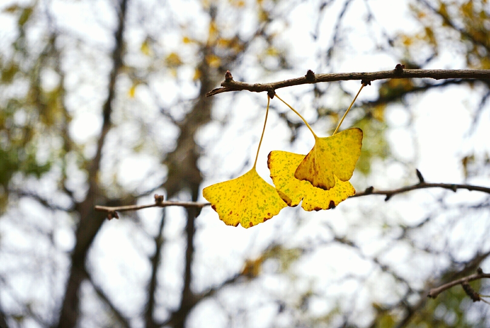 6-CA0xpRoQdN3Nt2b7Zg_owxXUrKB03q-mIp2_CRpdBMFxwDQLv7ZaFqgasTBFJ9