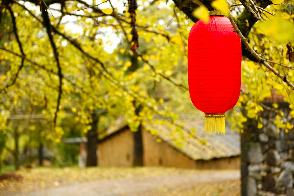 bDJA02FczIsIclZYsQtU4prgEH6TN0UxEr-6UQ0GT8xnhvzuyRDIBc8hWDJYFgSe