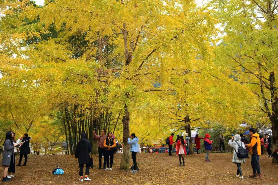 0g_tRXzvDWlBSYYqnhAgMCjMlu3KICMWCEqXgD8ZxMUKsYad_ice8FDB0O5gPlhg