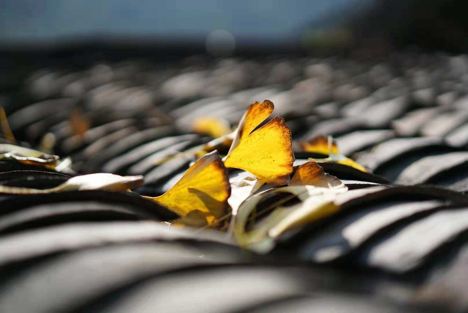 95lPwtXQ64Ug7-EvEVV7ORP8cmVEr82PXcVn_76KA9cTURDLXj5sPloWf_0OrMtr