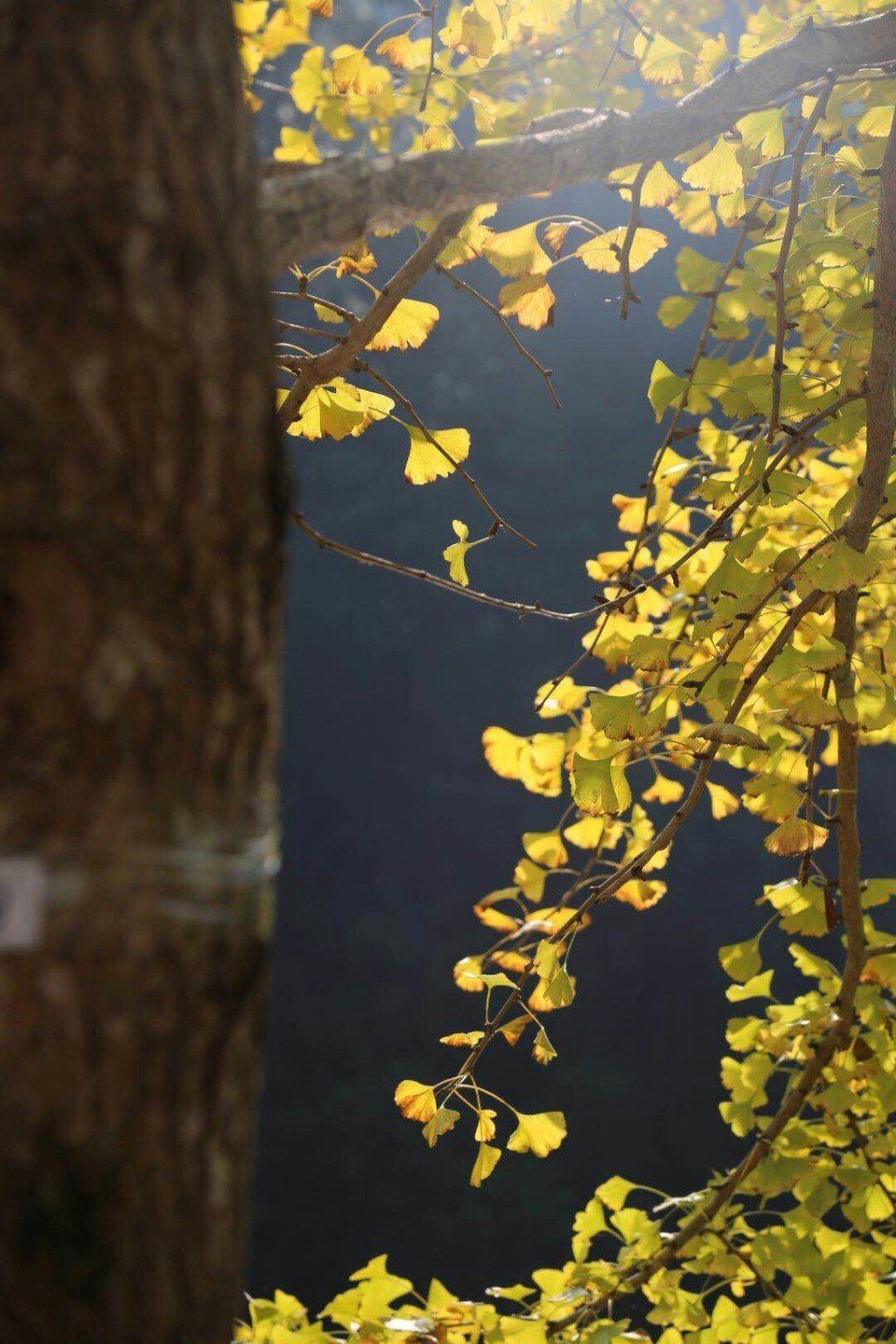 Lqt7cwNckFA-B4ZPU1upx_ZyPnUXcSSfcZR5O6KtNRj8rCjA_uuTs6rtKlPPfqw8