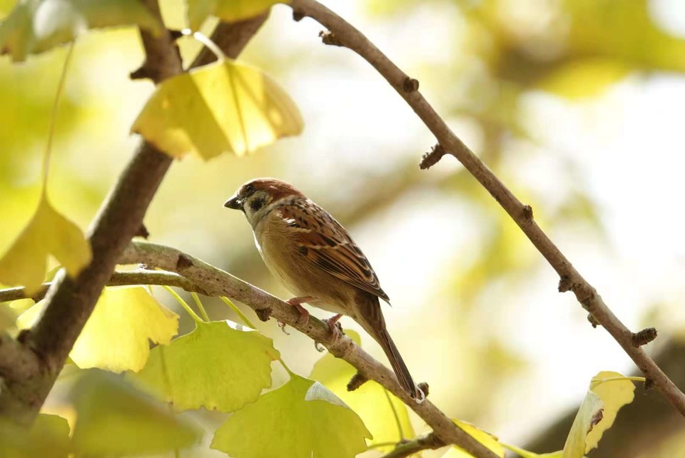 BP9Y1KaUszEI9tVsDfF-ZB2VmcxBlk0kBdiedjJGpkgCdyW5uk40NJEn5h3EQCX_