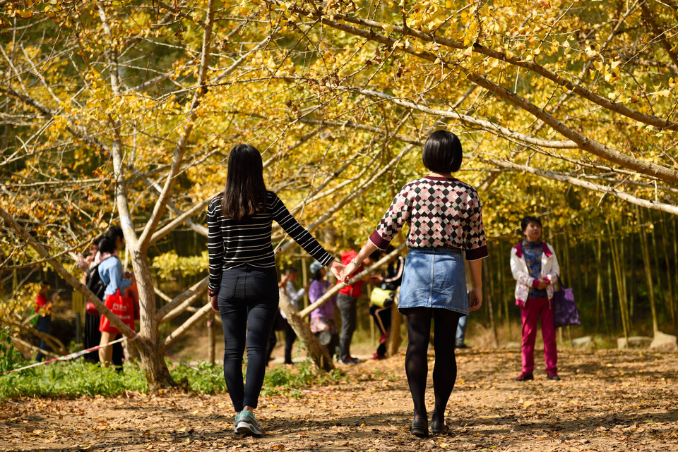 6lwFO0-Q5vRD6B0mziDnNB1t4kuCMgg834BbIdImSWk0vmaWMFUx40kTvZ-flxze