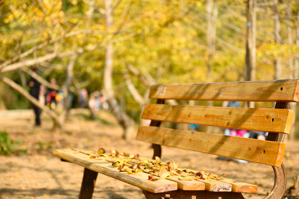 jM0iar5RzGcYliy6waE3DtV70q-sDzeZzvNJGmHzg4FND6wxeaHT3z-DJnRWPJYT