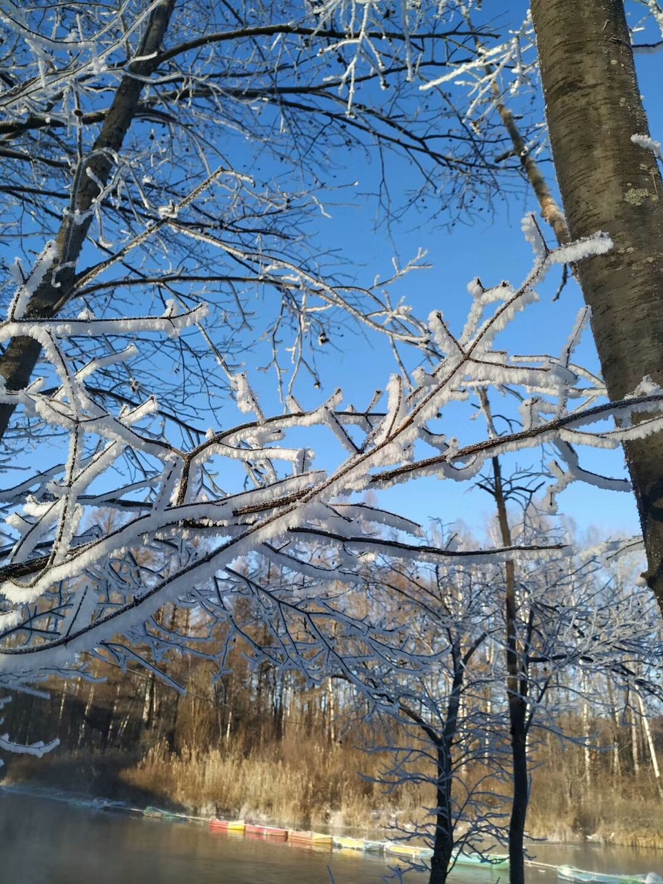 HYZdytFgdp1FpgE9gDa2kt1fF7RKorT68jYQxcNnKLdzRl7vG2k8iftxsCoUBPc5