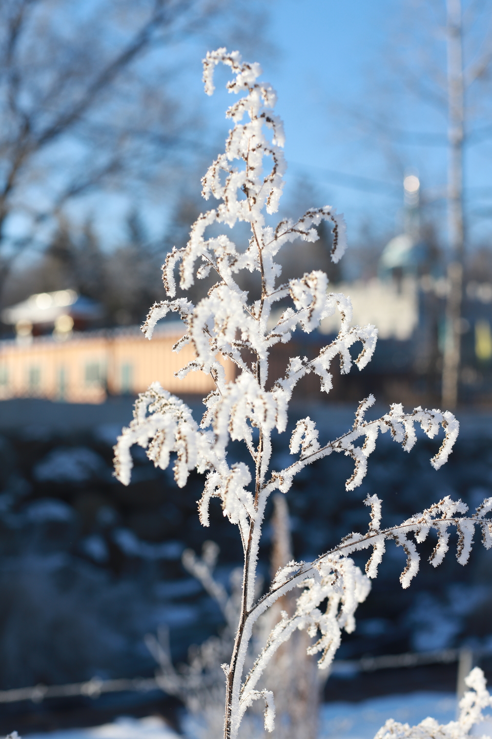 kl4JBMD6dY3Yn6oc8XAo8n_rd9Flpj-ETrg7UnBKiurZKaKAPE0QjATX2WLogMKK