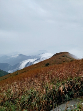 Qds-mSD5gmrcjvHlC9nO16dgZfQIb8GYviZzQRZ-l_npWxmILI9Ri7WYqf2LiuYx