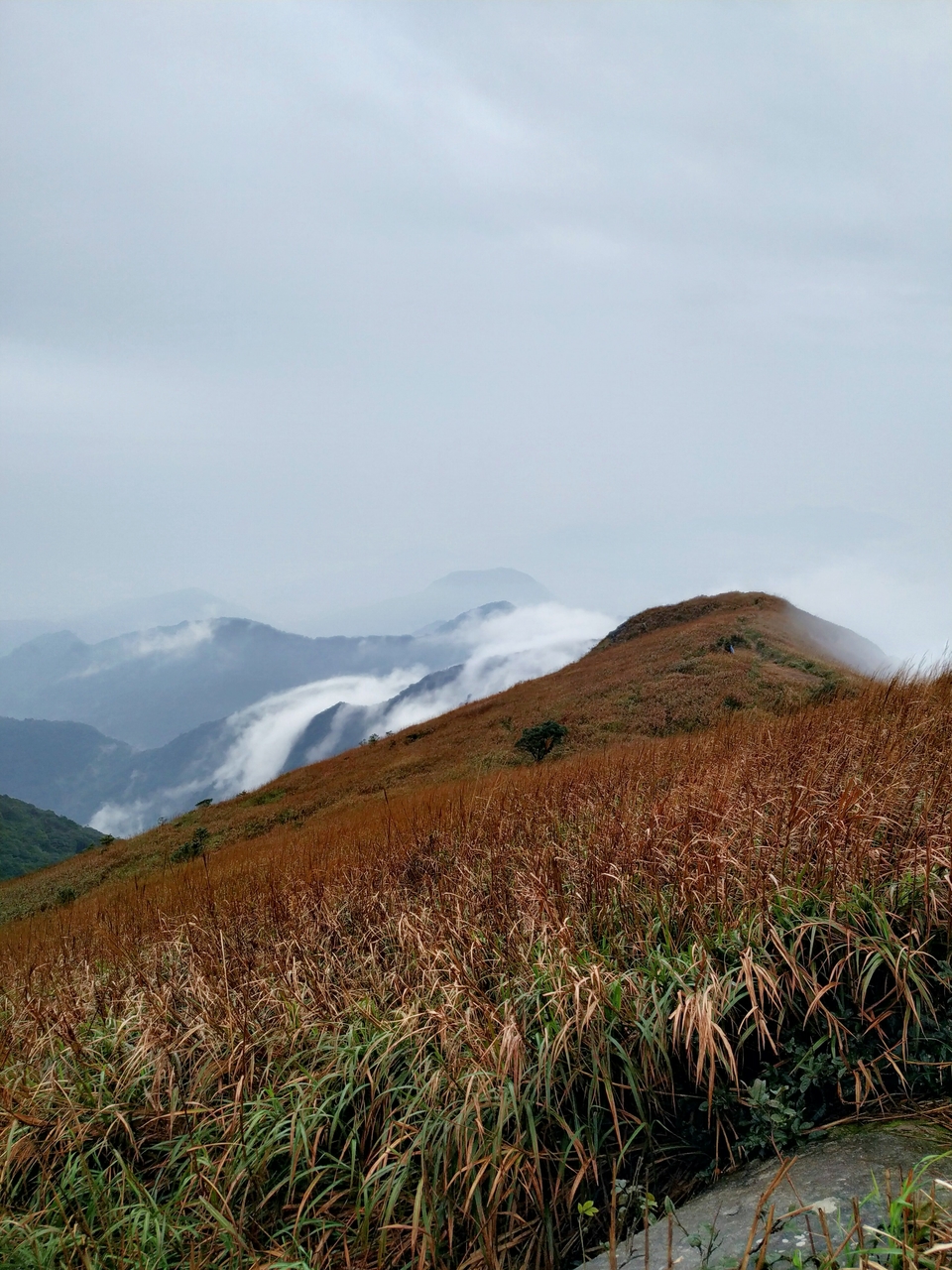 Qds-mSD5gmrcjvHlC9nO16dgZfQIb8GYviZzQRZ-l_npWxmILI9Ri7WYqf2LiuYx