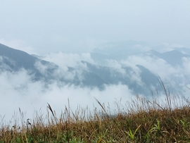 51yfyo0WSOg-nrMKX4jNEaMatpMl-SugjiZ_vShlO5FD0chGTUB5OF__RlcOt3lZ