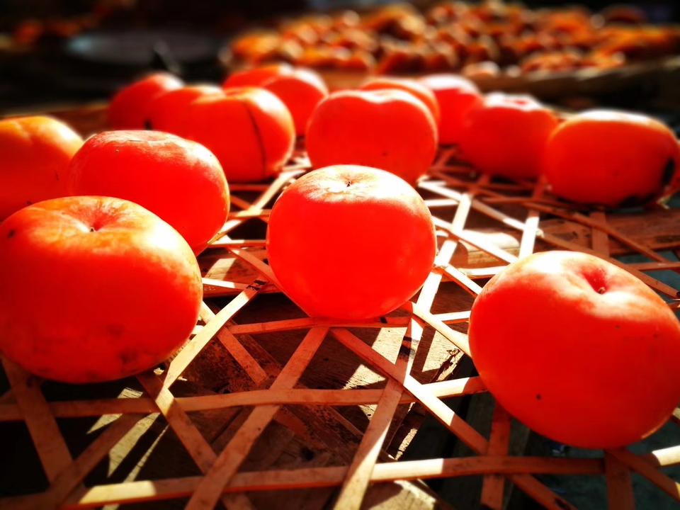 I14xxepHQ_aDNYOogRIMErxseHWmp7F_tiIKplAtPLgxlmtdsSXM6Hq83LJqZo69