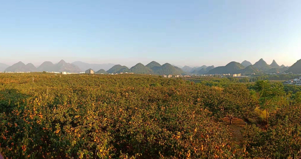 RXgIt7HywdDOiL2VlI0xduKrnldSElvc96cC4Rfx_3bPu6A6yQ_9eZsLx05MEmES