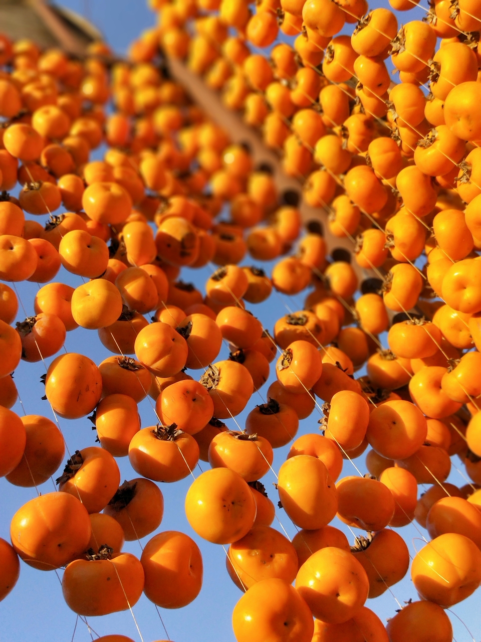 i8KywF1UhzQ0fN3_m98mLcYl13YnOH57FHzskvw_kprW9DSsypQ6n5tcBbpGccG2